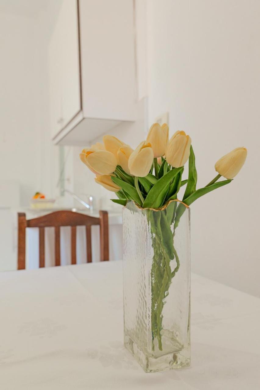 Sunflower Hotel Εξαμίλιο Εξωτερικό φωτογραφία