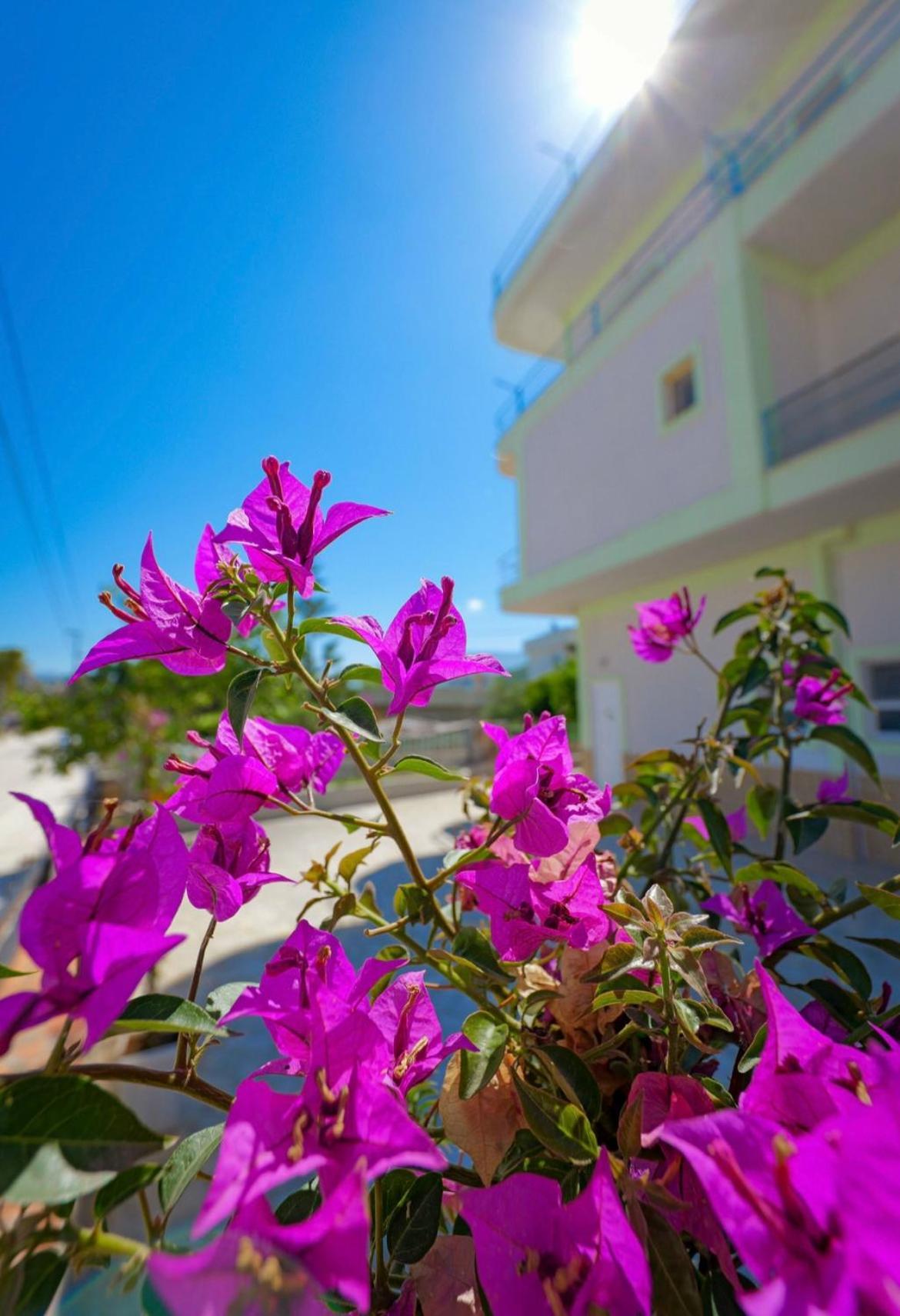 Sunflower Hotel Εξαμίλιο Εξωτερικό φωτογραφία